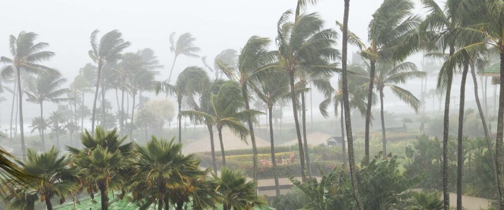 Palm trees blowing in the wind and rain as a hurricane approaches a tropical island coastline