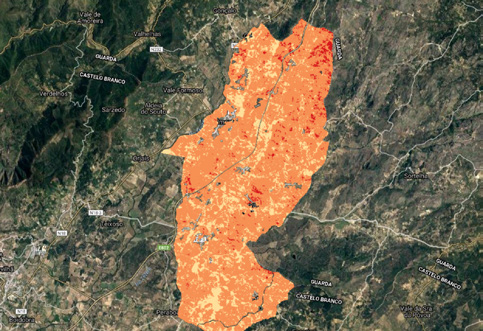 wildfire October 2020